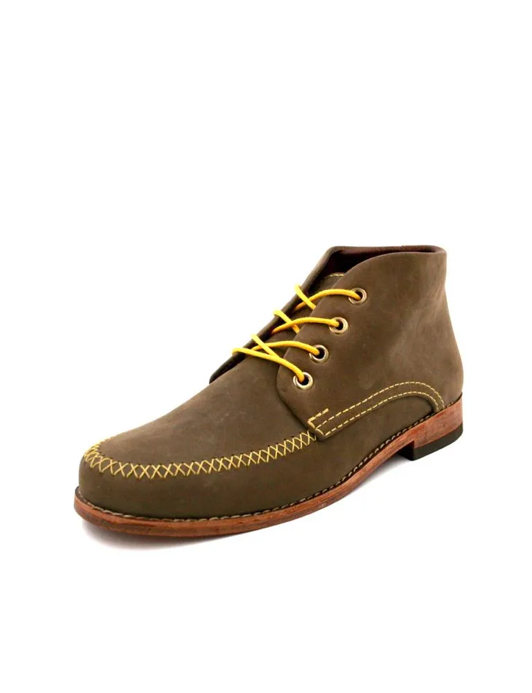 Colorines Olive Premium